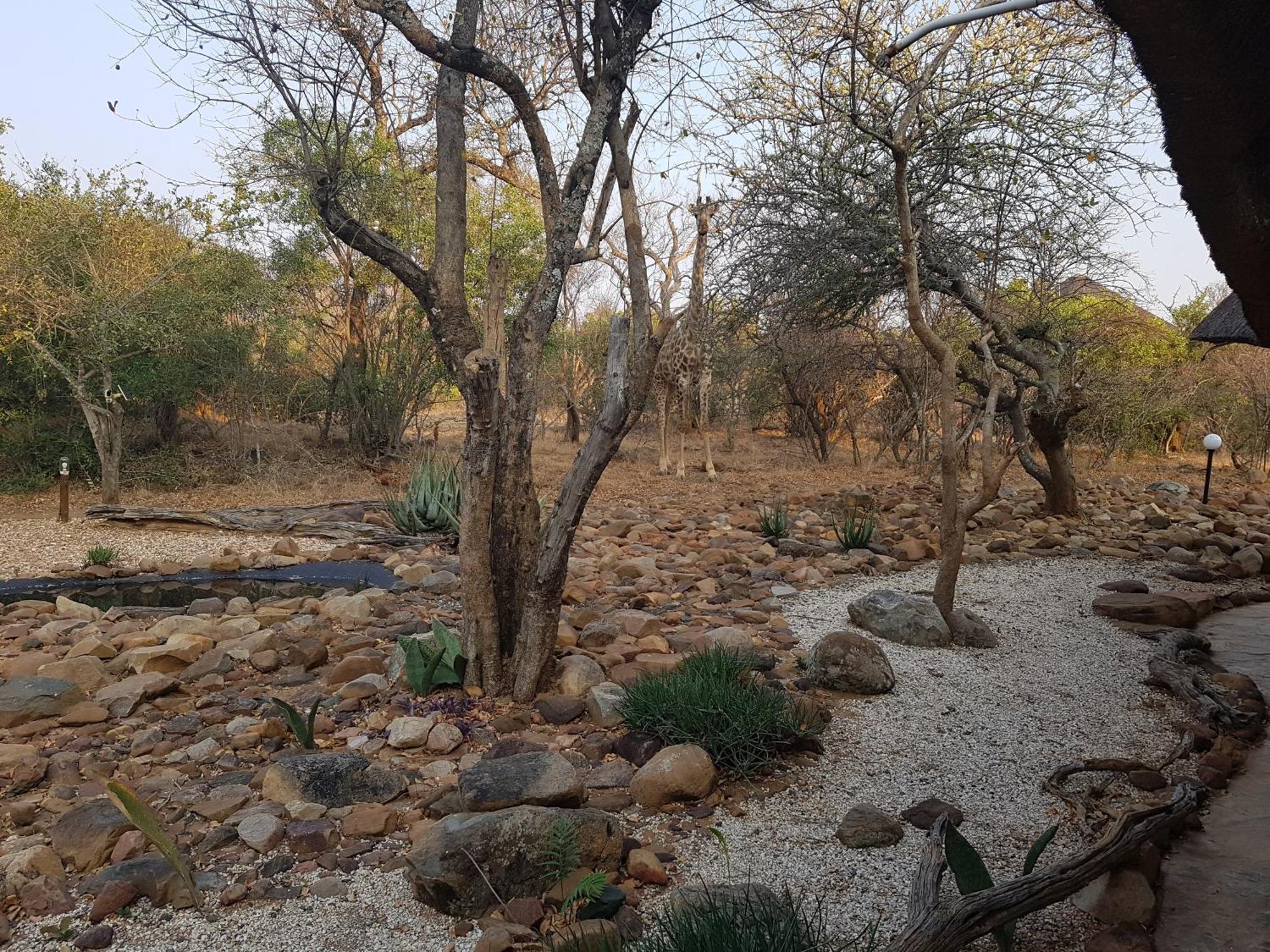 Bona Intaba Game Lodge Hoedspruit Kültér fotó