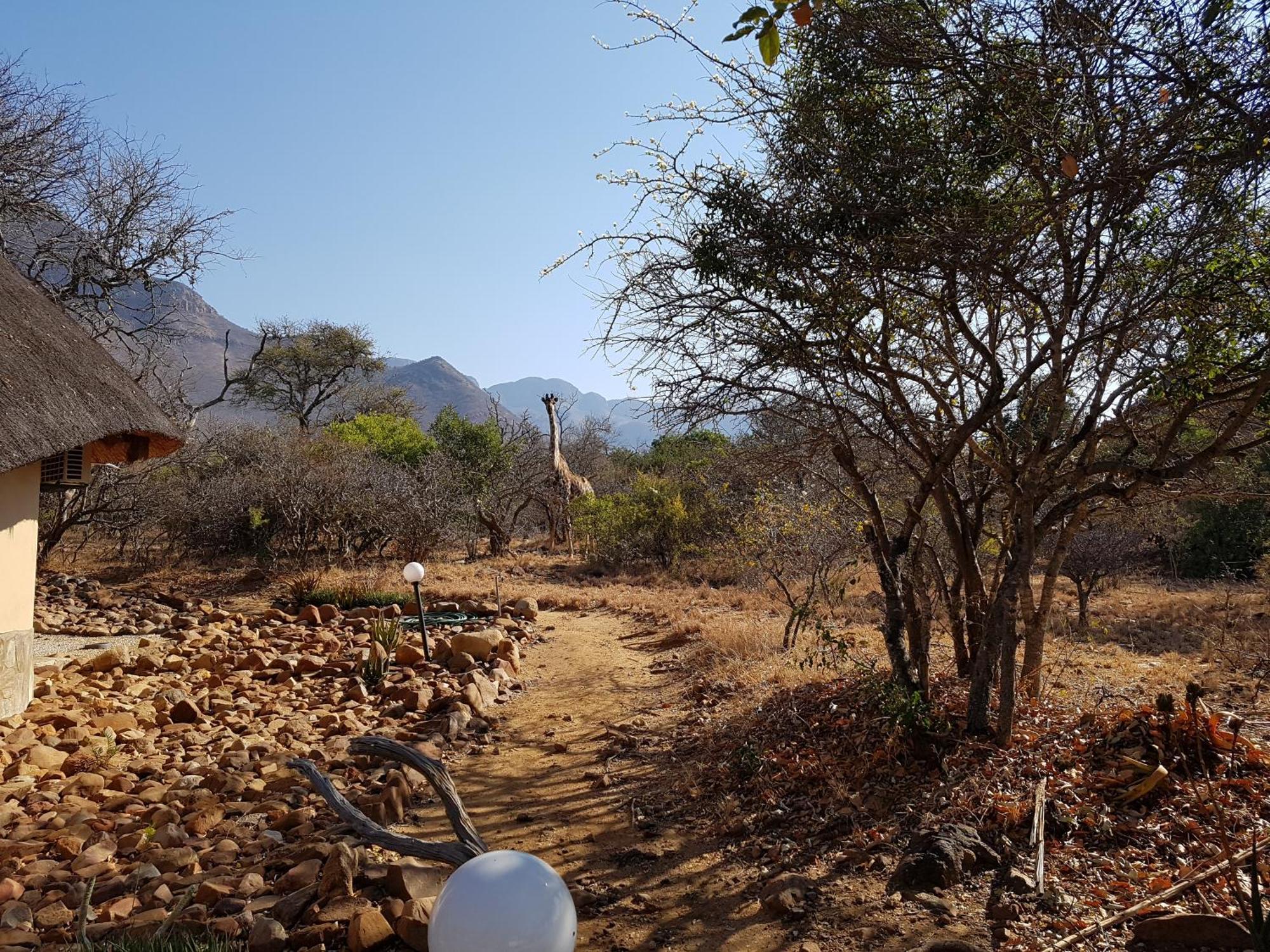 Bona Intaba Game Lodge Hoedspruit Kültér fotó